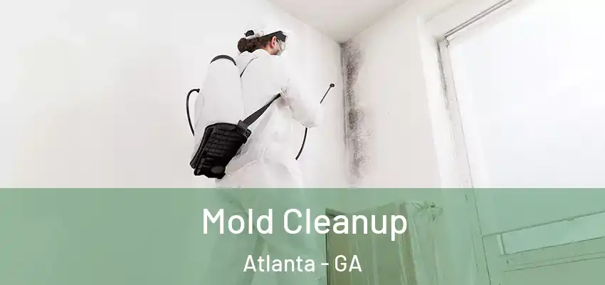 Mold Cleanup Atlanta - GA
