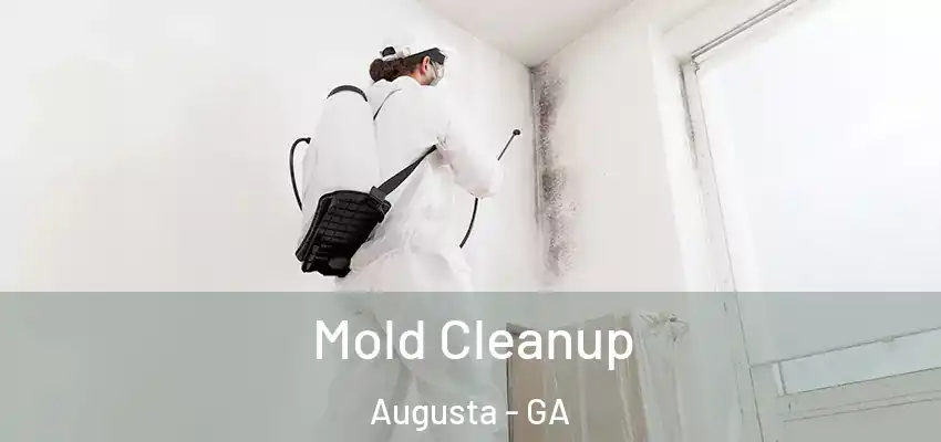  Mold Cleanup Augusta - GA