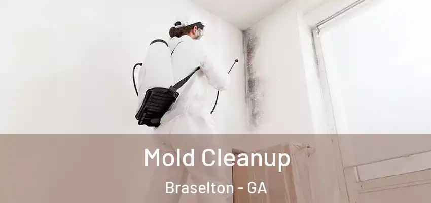 Mold Cleanup Braselton - GA