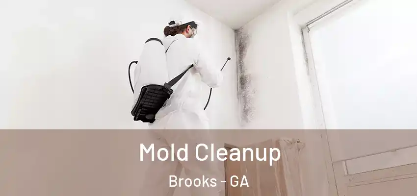 Mold Cleanup Brooks - GA