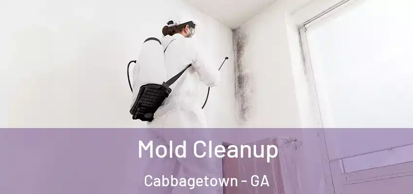 Mold Cleanup Cabbagetown - GA