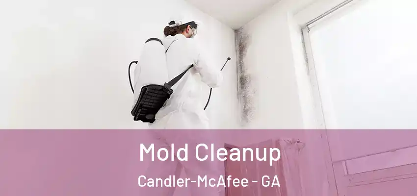 Mold Cleanup Candler-McAfee - GA