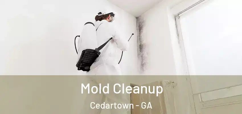 Mold Cleanup Cedartown - GA