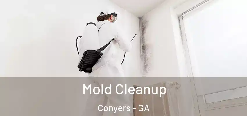 Mold Cleanup Conyers - GA