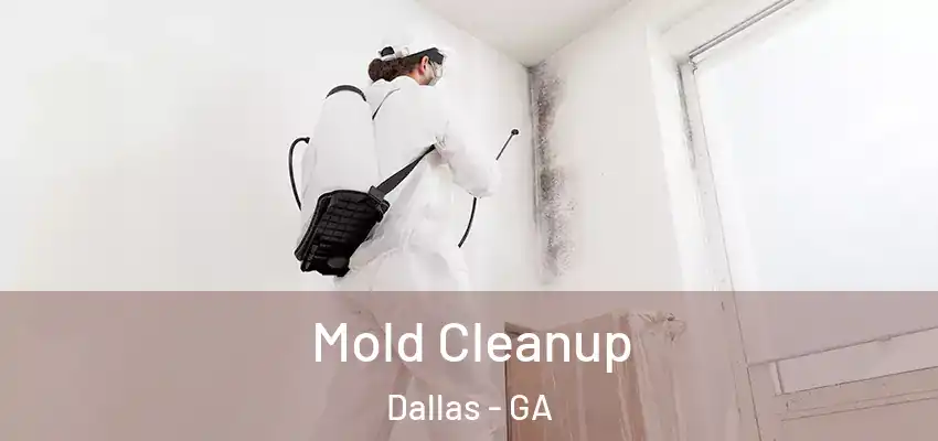 Mold Cleanup Dallas - GA
