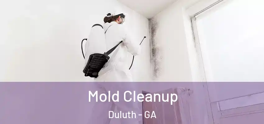  Mold Cleanup Duluth - GA