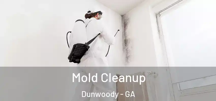 Mold Cleanup Dunwoody - GA