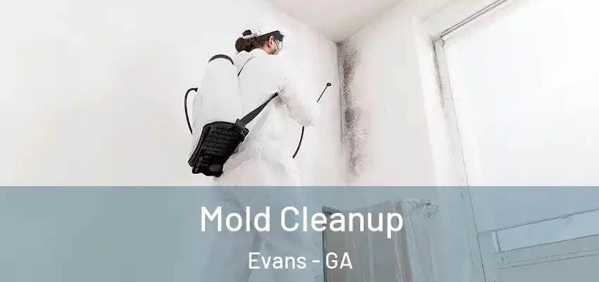 Mold Cleanup Evans - GA