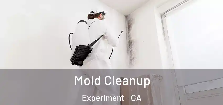 Mold Cleanup Experiment - GA