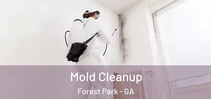 Mold Cleanup Forest Park - GA