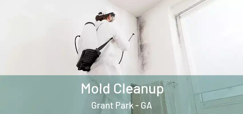 Mold Cleanup Grant Park - GA