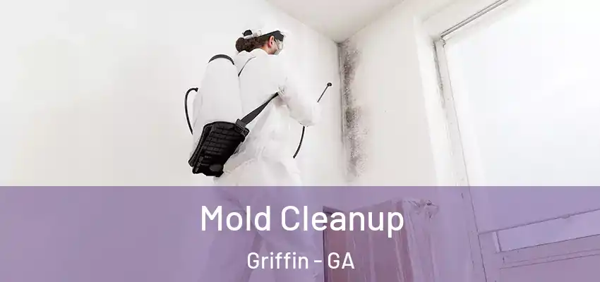 Mold Cleanup Griffin - GA