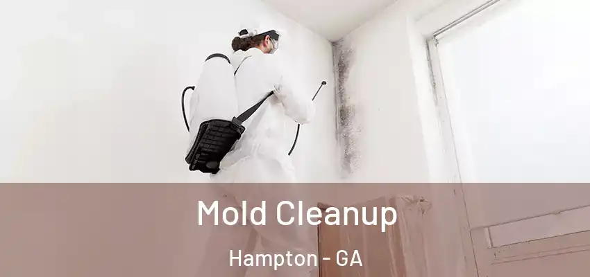Mold Cleanup Hampton - GA