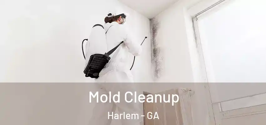 Mold Cleanup Harlem - GA