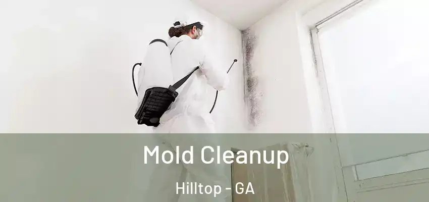 Mold Cleanup Hilltop - GA