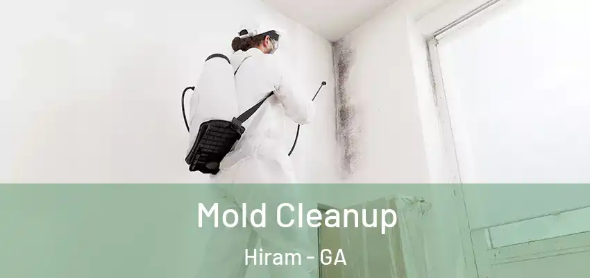 Mold Cleanup Hiram - GA