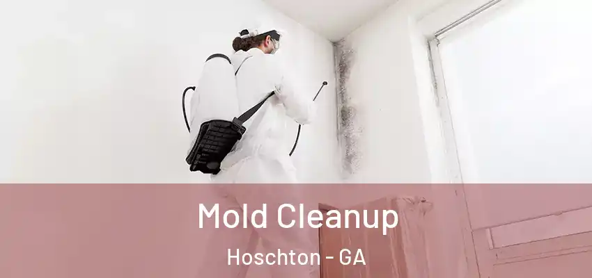 Mold Cleanup Hoschton - GA