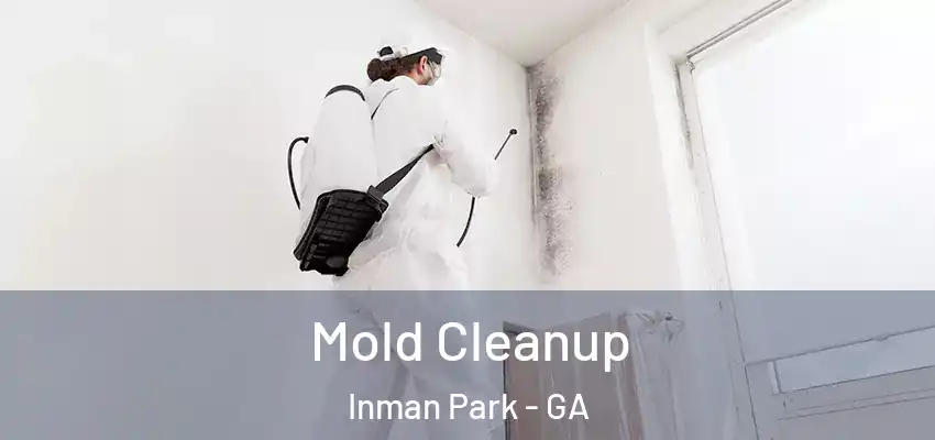 Mold Cleanup Inman Park - GA