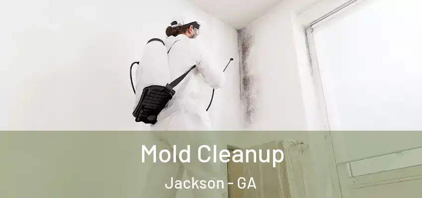 Mold Cleanup Jackson - GA