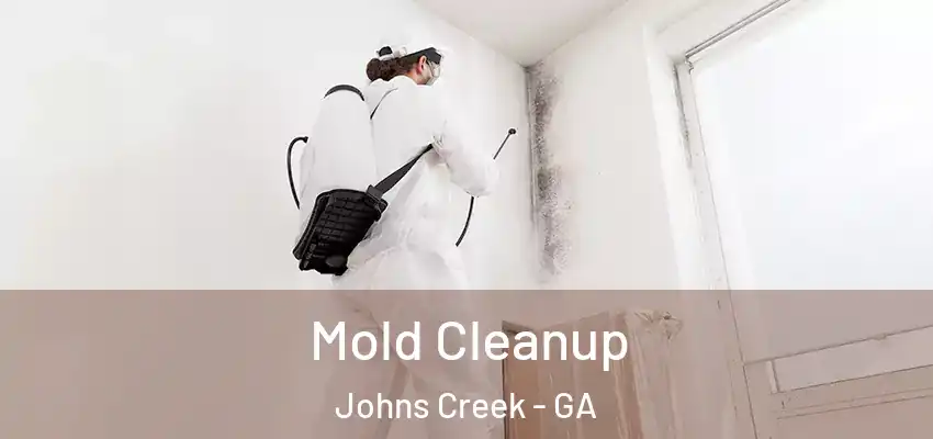 Mold Cleanup Johns Creek - GA