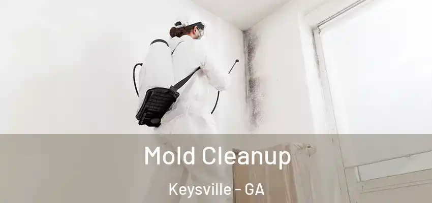 Mold Cleanup Keysville - GA