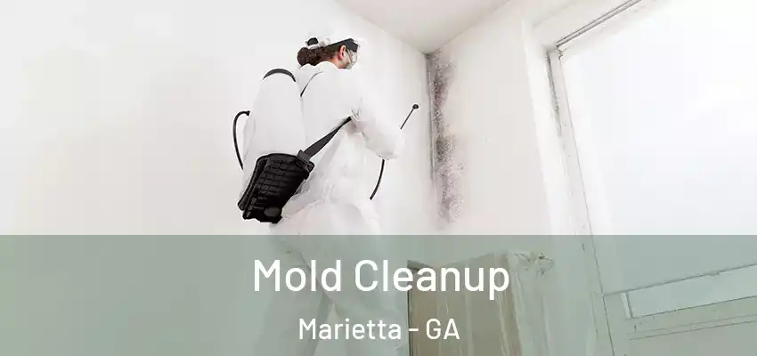 Mold Cleanup Marietta - GA