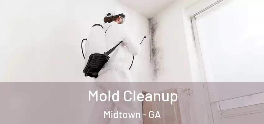 Mold Cleanup Midtown - GA