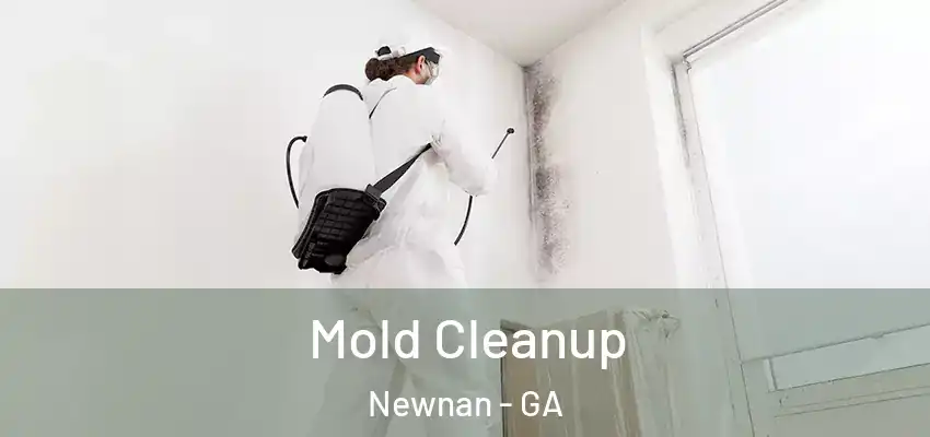Mold Cleanup Newnan - GA