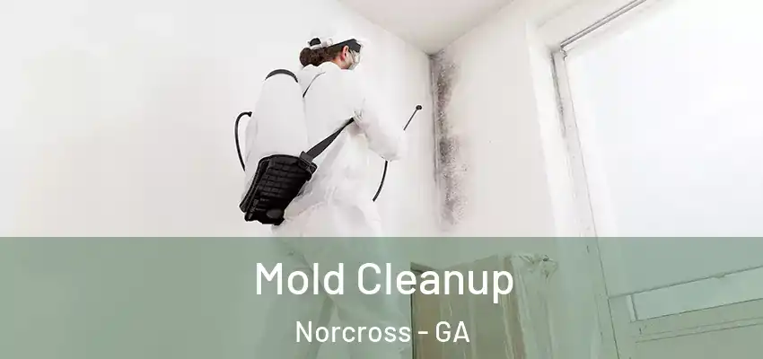 Mold Cleanup Norcross - GA