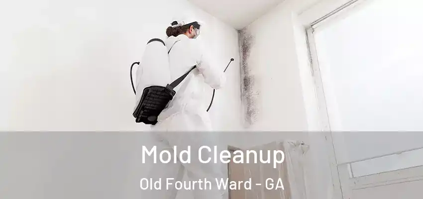 Mold Cleanup Old Fourth Ward - GA