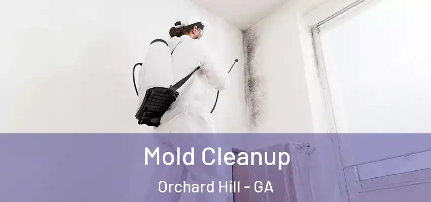 Mold Cleanup Orchard Hill - GA