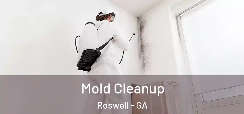 Mold Cleanup Roswell - GA