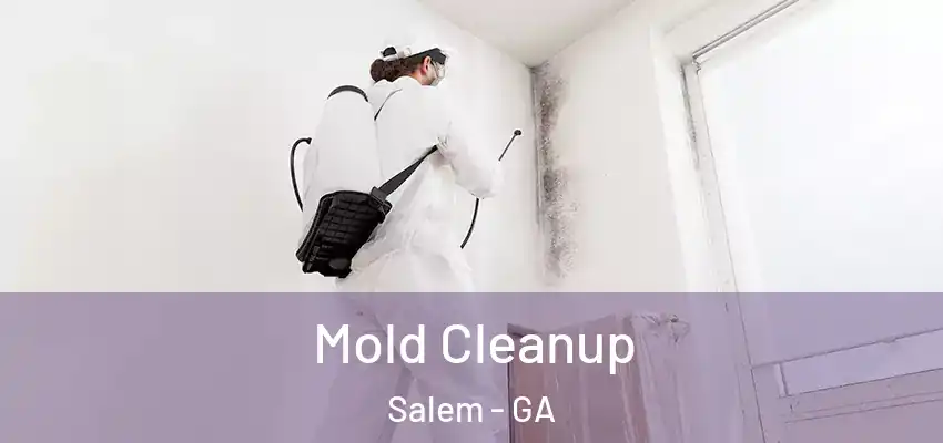 Mold Cleanup Salem - GA