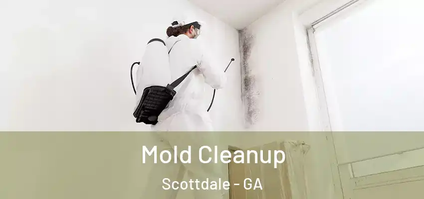  Mold Cleanup Scottdale - GA