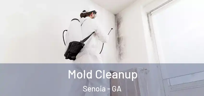  Mold Cleanup Senoia - GA