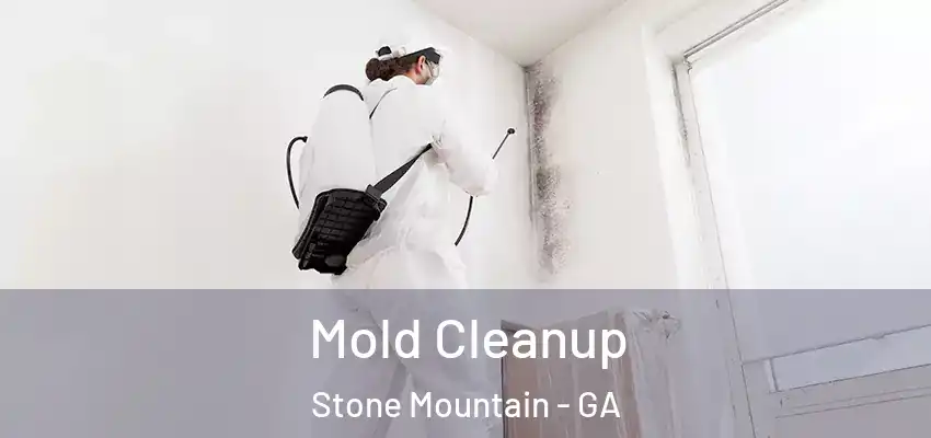  Mold Cleanup Stone Mountain - GA