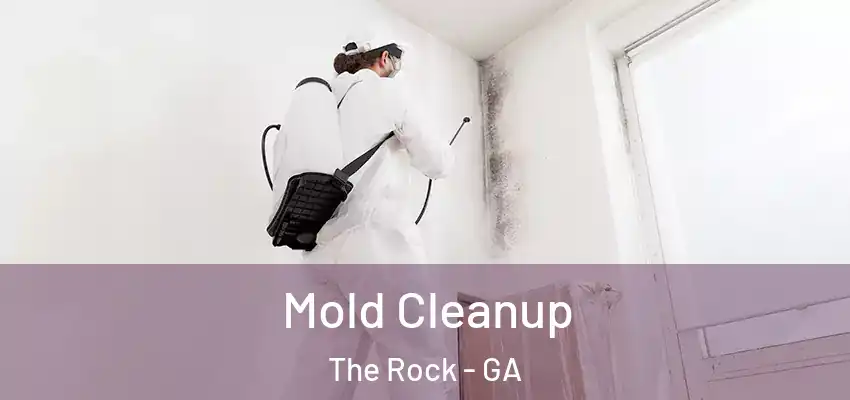 Mold Cleanup The Rock - GA