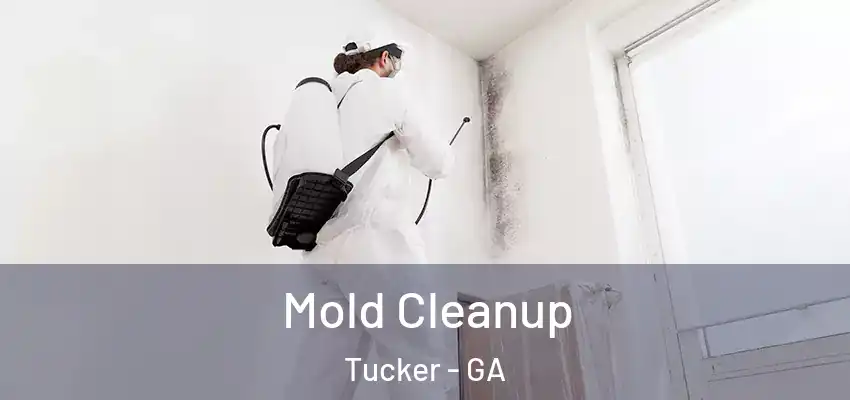 Mold Cleanup Tucker - GA