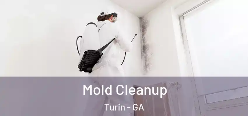 Mold Cleanup Turin - GA