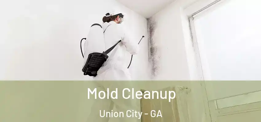 Mold Cleanup Union City - GA