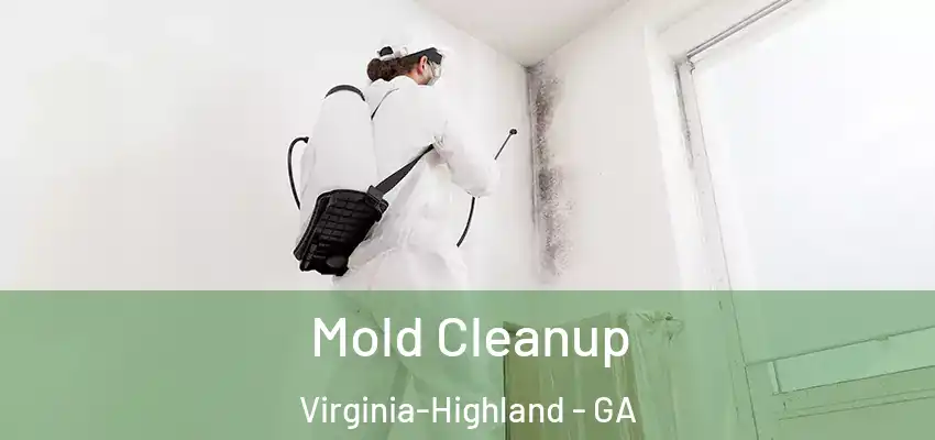 Mold Cleanup Virginia-Highland - GA