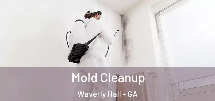  Mold Cleanup Waverly Hall - GA