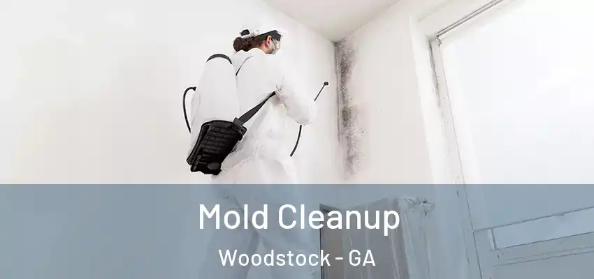 Mold Cleanup Woodstock - GA