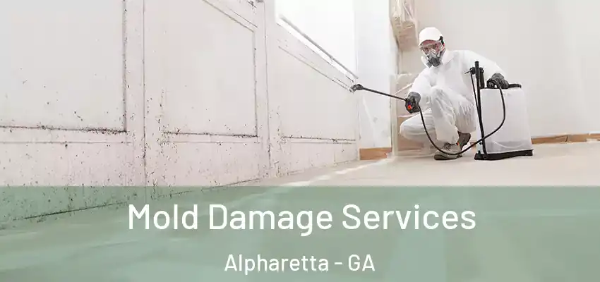 Mold Damage Services Alpharetta - GA