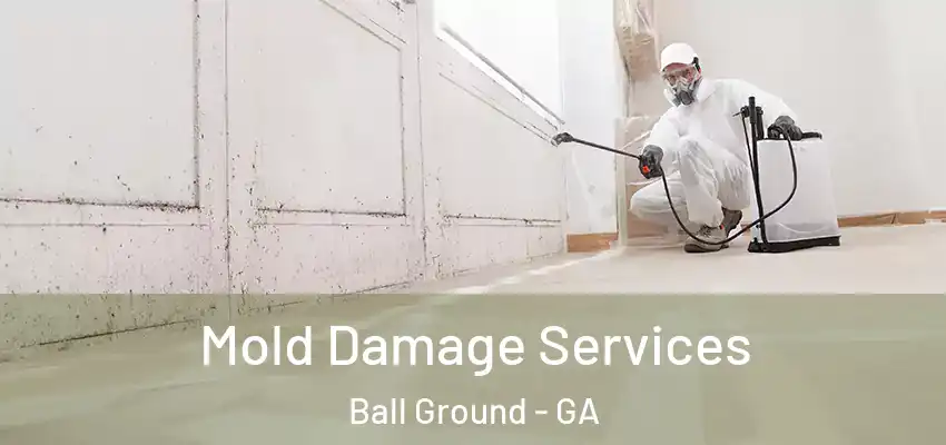 Mold Damage Services Ball Ground - GA