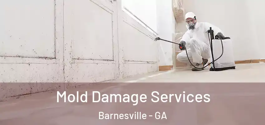 Mold Damage Services Barnesville - GA