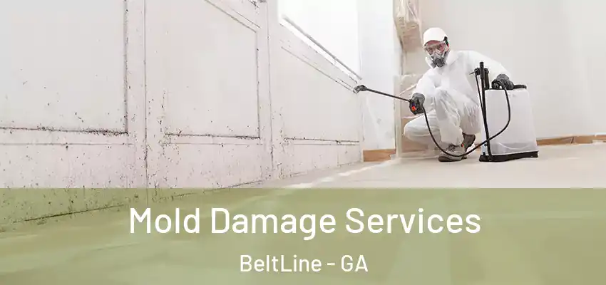 Mold Damage Services BeltLine - GA