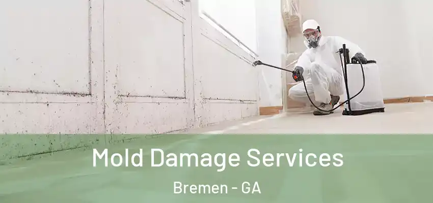 Mold Damage Services Bremen - GA