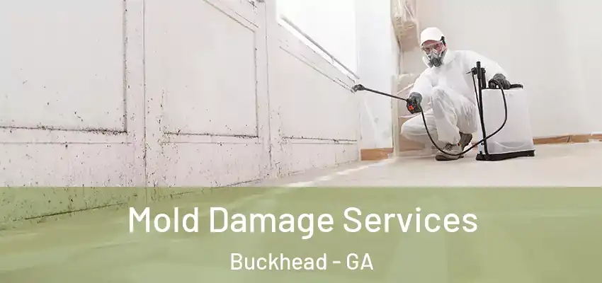 Mold Damage Services Buckhead - GA