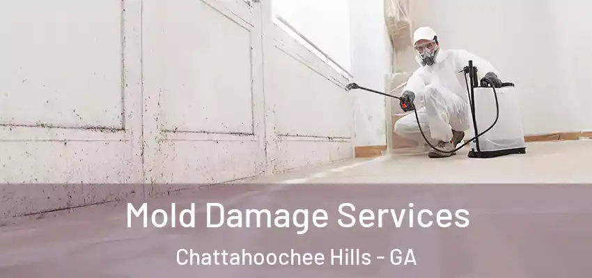 Mold Damage Services Chattahoochee Hills - GA